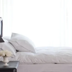 Deckbette Feather Mattress Topper